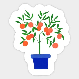 Little orange tree Sticker